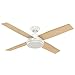 Hunter Dempsey Indoor Ceiling Fan with Remote Control