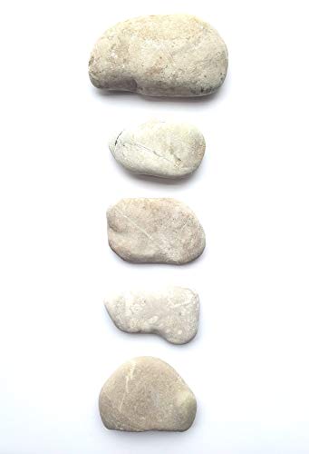 4 Capcouriers+Abstract+Violet+Light+Painting