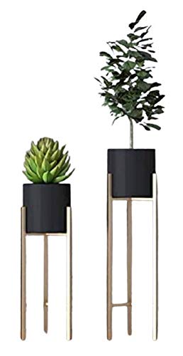 Shiv Gorakh International Set of 2 Metal Indoor Modern and Latest Plant Stand with Planter Pot (Black)