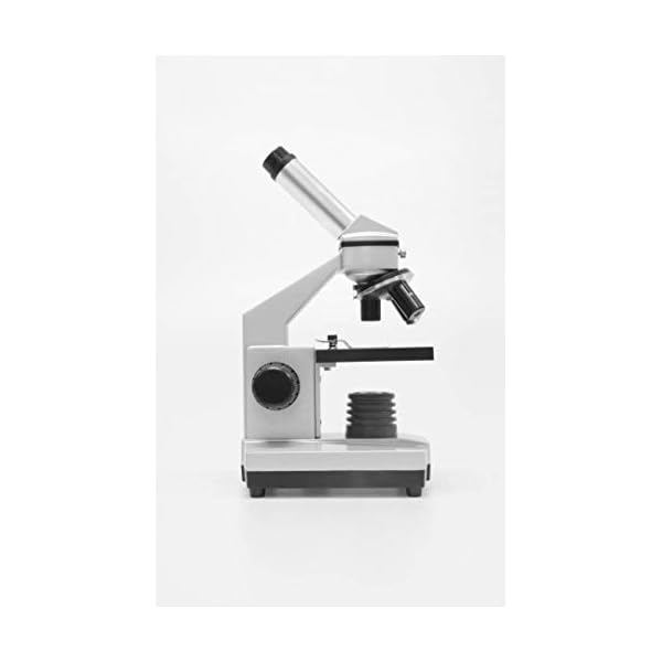 Bresser Junior Mikroskop Set Biolux DE 40x-1024x für Kinder und Erwachsene mit hoher Vergrößerung, inklusive USB Kamera… – Bild 6