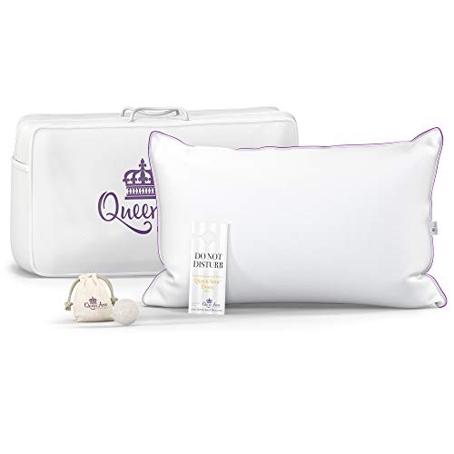 Cruelty Free Goose Down Pillows at Kenyatta Thomson blog