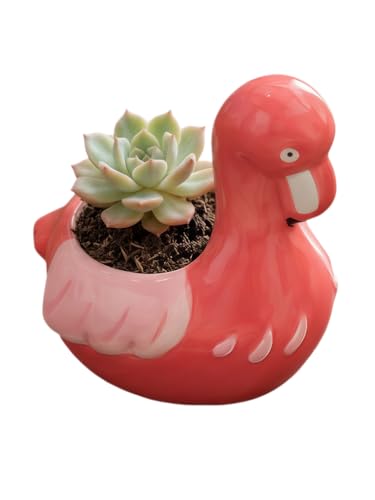 SJBAG Ceramic Animal Shaped Flower Pot