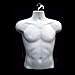 EZ-Mannequins XS158-W Male Torso Body Mannequin Form (Waist Long) WHITE