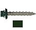 250 Sheet Metal ROOFING SCREWS: #10 IVY GREEN/FOREST GREEN 1-1/2