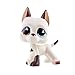 Lps Collectable Rare Figures Toy with lps Accessories Kids Gift (lps #577)