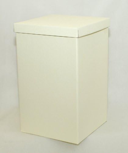Scatole Dos Cajas Fondo/Tapa 25 x 25 x 40 cm: Amazon.es: Hogar