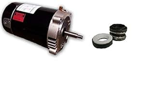 Amazon.com : Emerson US Motors EUST1102 Pool Pump Motor