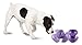 PetSafe Busy Buddy Magic Mushroom Dog Toy - Slow Feeder - Treat Dispenser