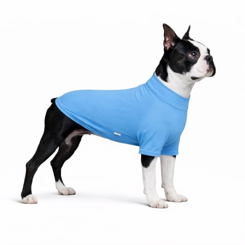 LoveLongLong Spring Summer Cooling Dog T-Shirt with UV Protection and Moisture-Wicking Fabric Blank Color Sea blue XL