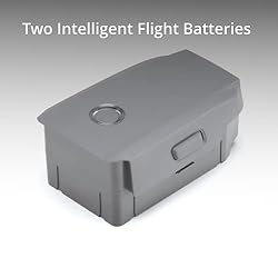 DJI Mavic 2 Enterprise Advanced Fly More Kit