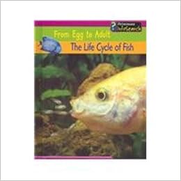 Buy The Life Cycle Of Fish From Egg To Adult Book Online At Low