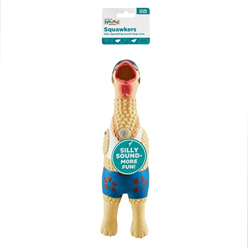 Charming Pet Squawkers Earl Latex Rubber Chicken Interactive Dog Toy