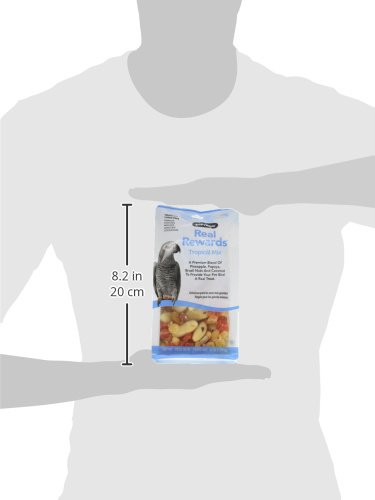 ZuPreem Tropical Mix Real Rewards Treat Blend, 6 Ounces, for Parrots Conures Macaws Amazons and Cockatoos