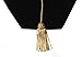 GraduationForYou Doctoral Tam With Gold Bullion Tassel-8 Sides