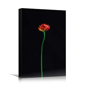 signwin Canvas Wall Art Red Flower Portraiture Colorful...