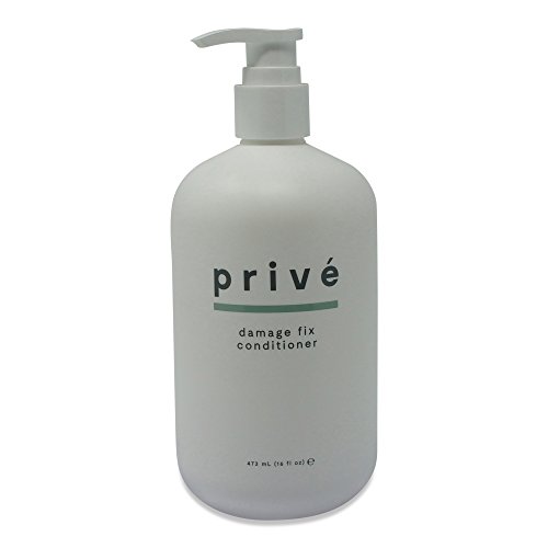 Prive Damage Fix Conditioner 16 Fluid Ounce 473 Milliliter