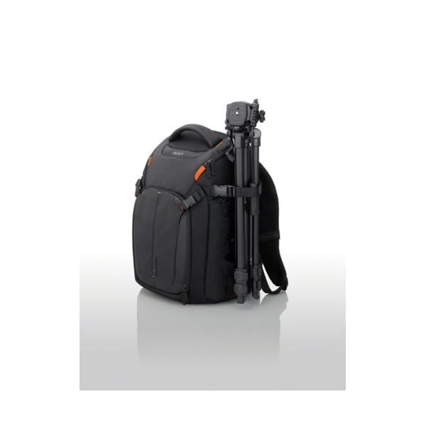 Sony LCSBP3 DSLR System Backpack with 