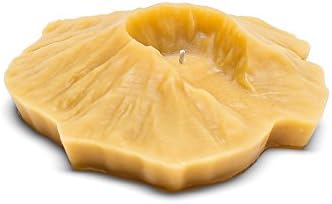 Cascadia Candle Co. Mount St. Helens Candle