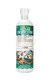 API Pondcare Algae Destroyer Advanced, 16-Ounce