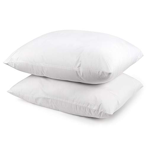 Best pillow hypoallergenic cotton for 2019 Aalsum reviews