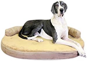 Integrity Bedding Orthopedic Memory Foam Joint Relief Bolster X-Large Pet Dog Bed - Toffee