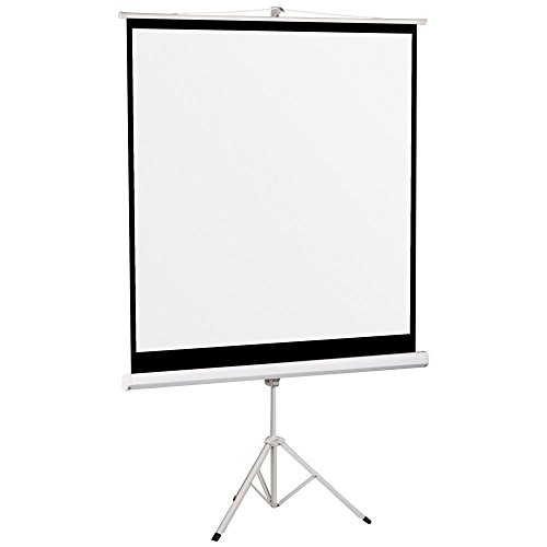 Carl s FlexiWhite, Projector Screen Material, White, Gain 1.1 (169