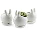 T4U Ceramic Pot White, Rabbit Planter Succulent Plant Cactus Flower Porcelain Holder Container Outdoor Indoor Home Office Decoration with Round Tray - Pack of 3