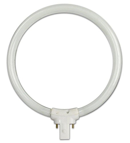 Lightahead Circular Fluorescent Bulb 5 Inch Diameter Replacement for Decorative Lamps