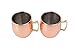 Moscow Mule Copper Mugs Set Of 2 By Rocky Mountain Mugs - 18 ounce Capacity Drinking Cups For Cocktails & Cold Beverages - 100% Handcrafted With Stainless Steel Lining - Ergonomic Brass Handle