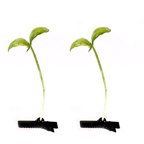 DealMux Girl Growing Bean Sprout Floral Antenna Hairpin Hair Clips 2 Pcs