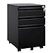DEVAISE 3 Drawer Mobile File Cabinet with Lock, Metal Filing Cabinet Legal/Letter Size, Fully Assembled Except Wheels, Black primary