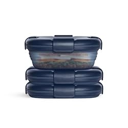 STOJO Collapsible Sandwich Box 3 Set- Translucent