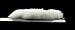Hallowen Decorations Cosplay Real Fluffy White Fox Fur Tail Key Chain Bag Charm Accessories 17