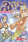 RAVE レイヴ 第13巻