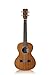 Cordoba 20TM Mahogany Tenor Ukulele