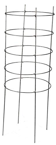 EZGrow TC-4-2 The Big EZ Heavy Duty Folding Tomato Cage & Plant Support, 2-Pack Silver
