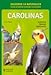 Carolinas / Cockatiel: Cuidados, Crianza, Variedades (Spanish Edition) by