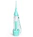 Denshine Portable Dental Care Water Jet Oral Irrigator Flosser Tooth SPA Teeth Pick Cleaner 1 PACK (Green)