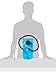 High Sierra Packaged Reservoir Hydration Pack, Vertex Bladder, 1.5-Liter