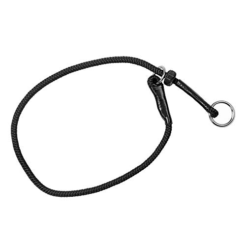 Dingo Gear Choke Collar for Dog Training