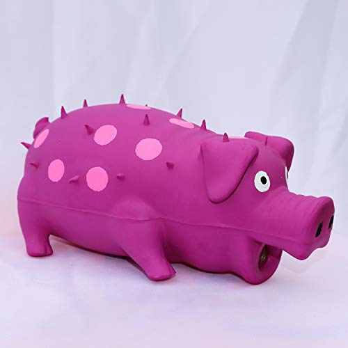 VIMIGOO Latex Dog Chew Toy Grunting Pig Sound Play,Pig Pet Toy (Purple)