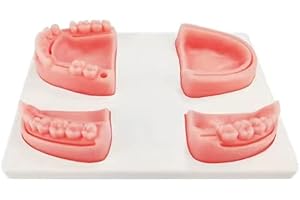 ZUFOR Oral Suture Training Pad Set with 4 Dental Suture Pads for Dentical Nurse Suture Training。Dental Suture Practice Pad for Practic on Soft Gum Teeth。Dental Suture Pad，Gifts for Medical Students