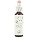 Bach Original Flower Remedies, Larch - Have Confidence - Natural Homeopathic Flower Essence for Emotional Balance - Vegan, Gluten Free, Sugar Free - 20mL Dropper