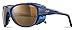Julbo Explorer2 Sunglasses