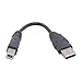 Belkin Components USB A/B Device Daisy Chain for USB Hub (6 Inches)