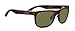 SERENGETI Nico Sunglasses
