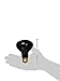 Zilla Incandescent Spot Bulb, for Nocturnal Reptile Species, Night Black