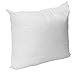 Mybecca 18 X 18 Sham Stuffer Square Hypoallergenic Pillow Insert Polyester, White