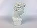 Torino Mini David Head Plaster Cast Mannequin, Great for Artists, Artistic piece, Color: White, Size: 5