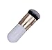 Gillberry Cosmetic Brush Face Makeup Brush Powder Brush Blush Brushes Foundation Tool (Gold)
